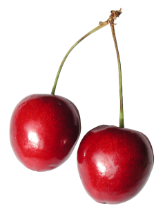 red cherry PNG image, free download-622
